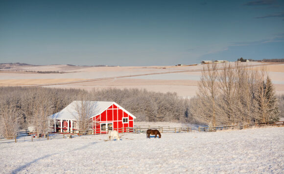 Rocky View County acreage